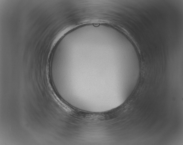 X0000076311187200610201604