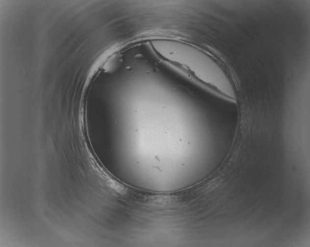 X0000076311188200610201604