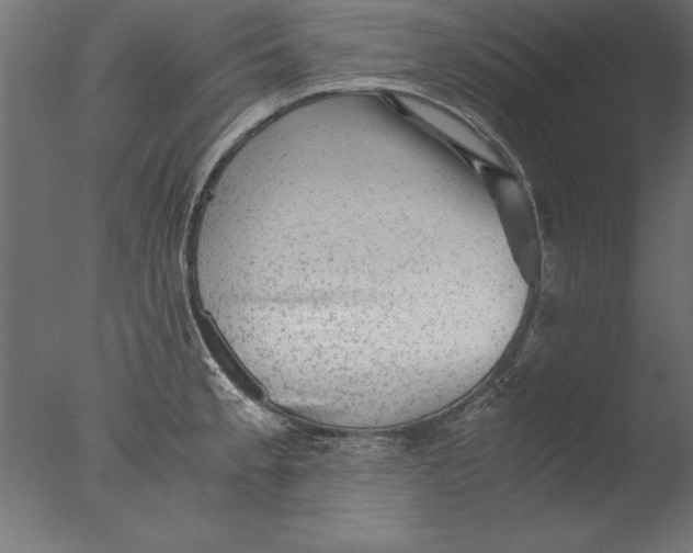 X0000076311189200610201604