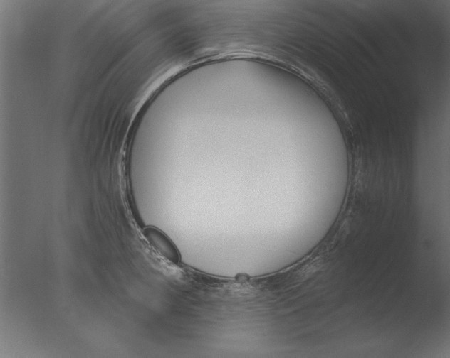 X0000076311190200610201604