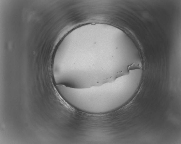 X0000076311192200610201604