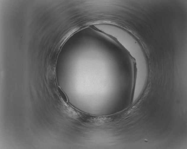 X0000076311193200610201604