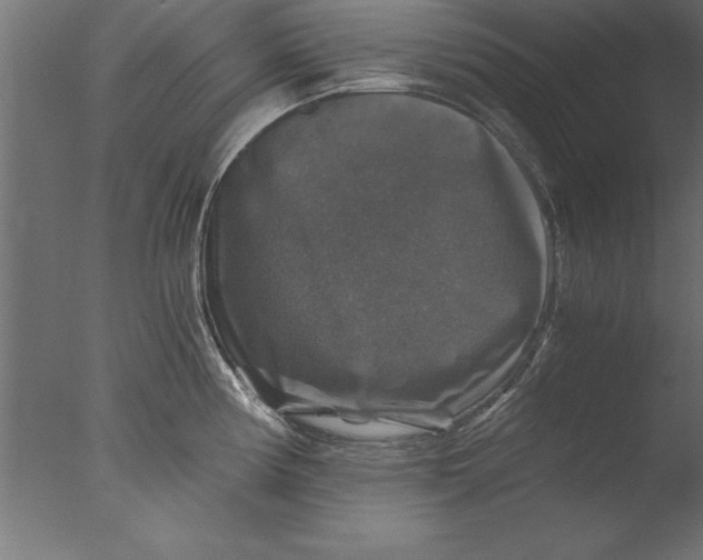 X0000076311194200610201604