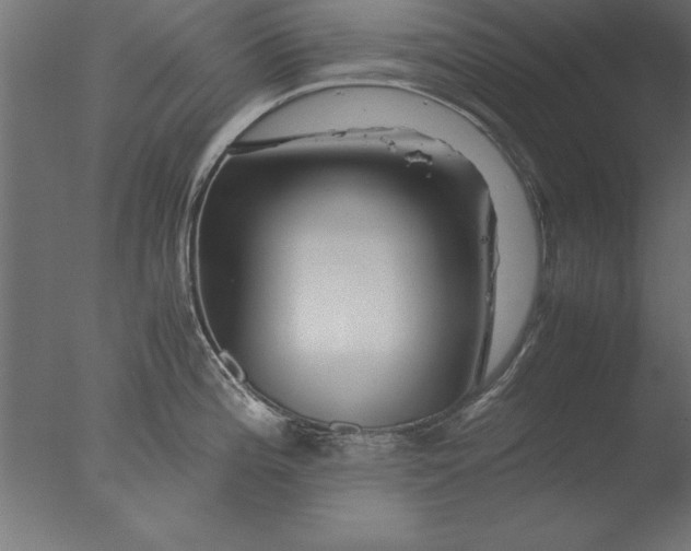 X0000076311196200610201604