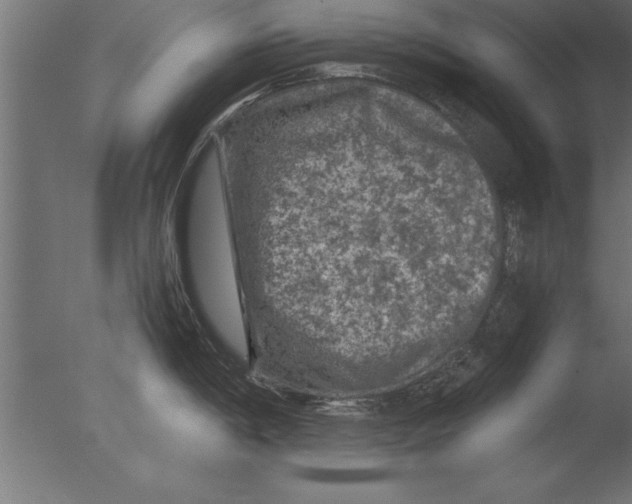 X0000076311198200610201604