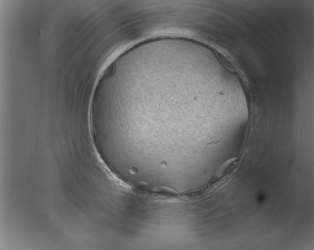 X0000076311199200610201604