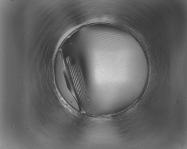 X0000076311200200610201604