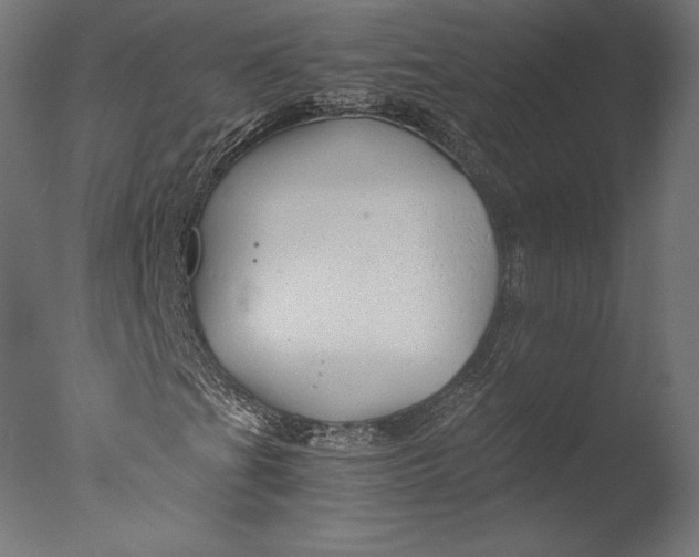 X0000076311201200610201603