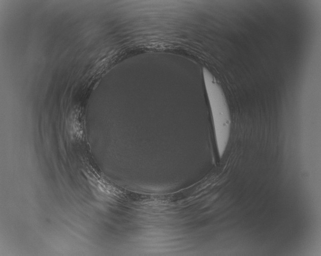 X0000076311202200610201603