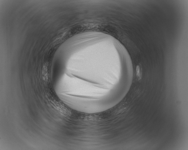 X0000076311203200610201603