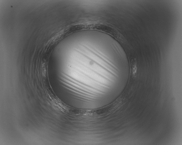 X0000076311204200610201603