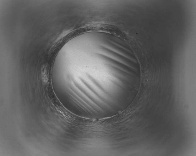 X0000076311206200610201604