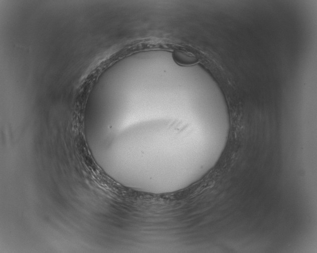 X0000076311207200610201604