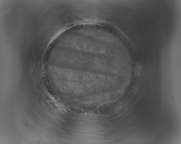 X0000076311208200610201604