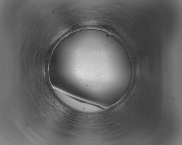 X0000076311209200610201604