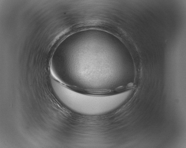 X0000076311210200610201604