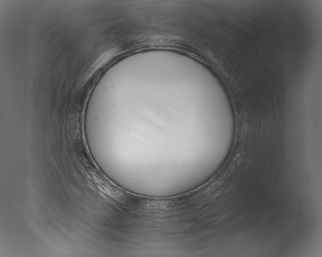 X0000076311211200610201604