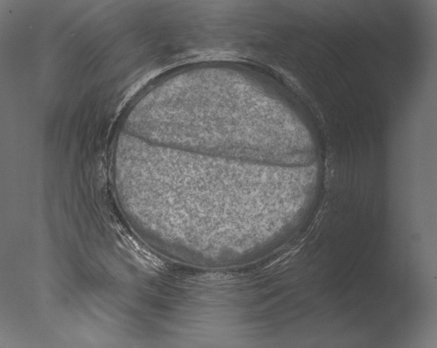 X0000076311212200610201604