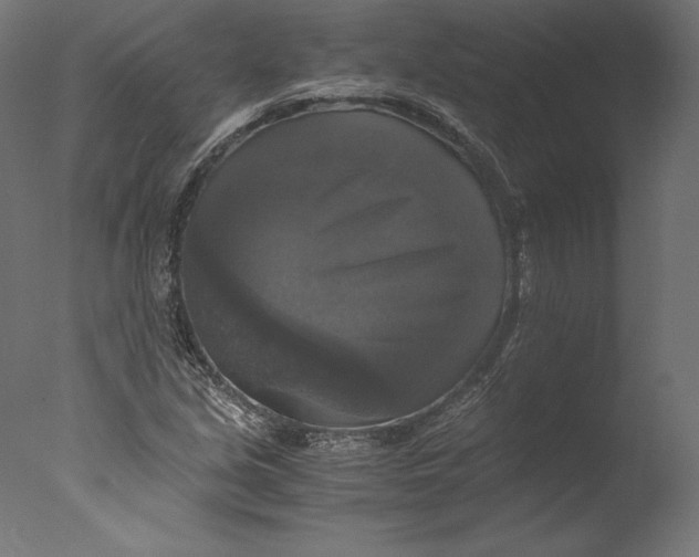 X0000076311213200610201604