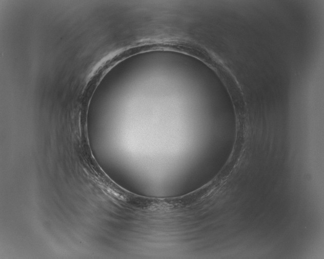 X0000076311214200610201604