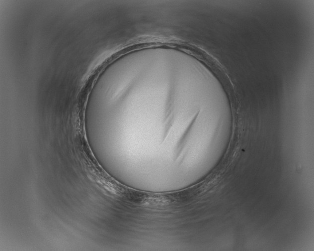 X0000076311215200610201604