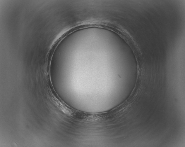 X0000076311216200610201604