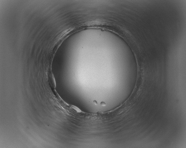 X0000076311217200610201604