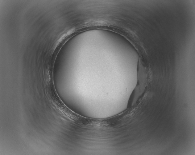 X0000076311218200610201604