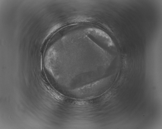 X0000076311219200610201604