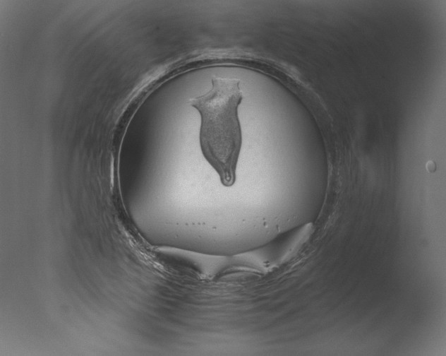 X0000076311221200610201604