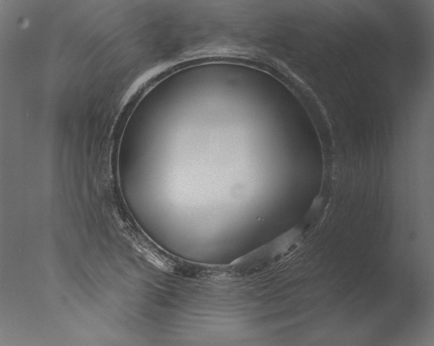 X0000076311222200610201604