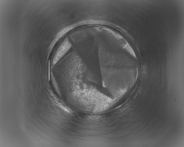 X0000076311223200610201604