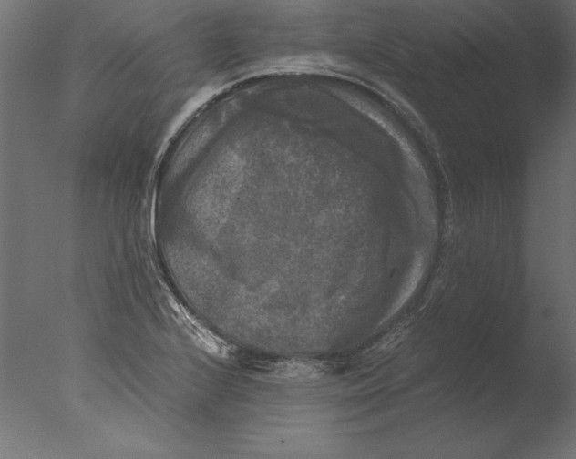 X0000076311224200610201604