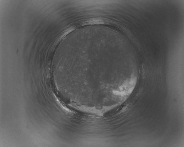 X0000076311225200610201604