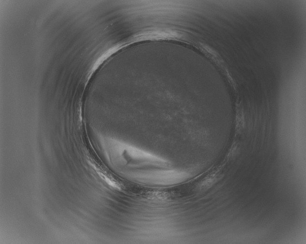 X0000076311226200610201604