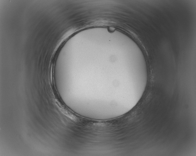 X0000076311227200610201604