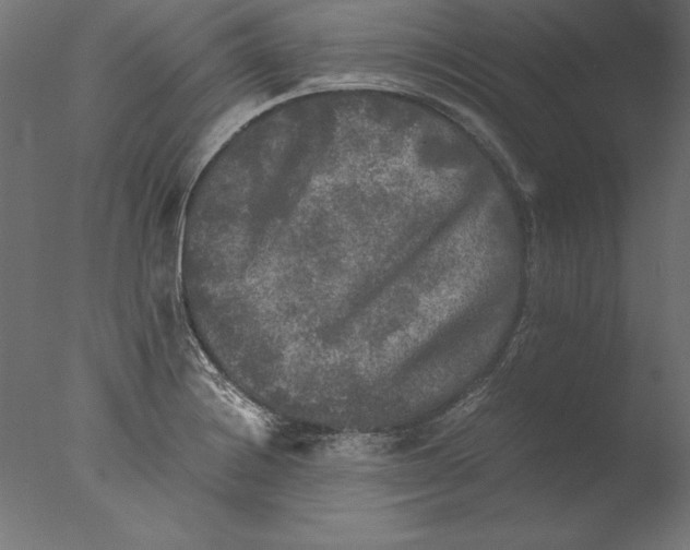 X0000076311228200610201604