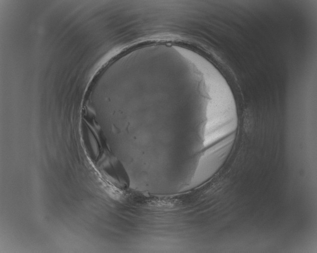 X0000076311229200610201604