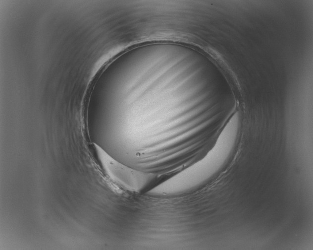 X0000076311230200610201604