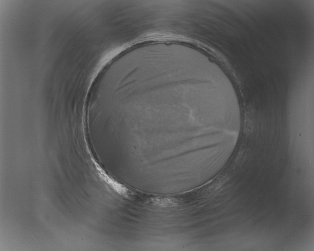 X0000076311231200610201604