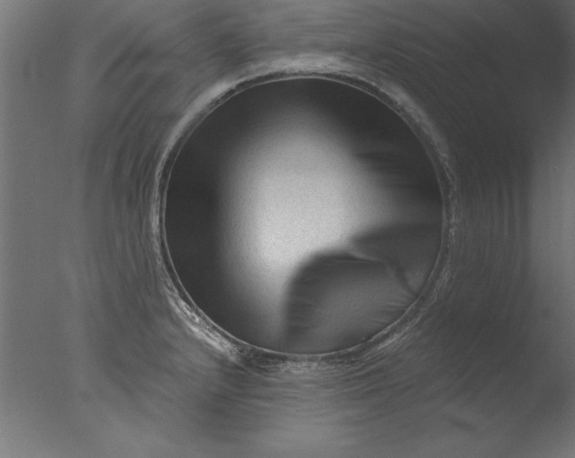 X0000076311232200610201604