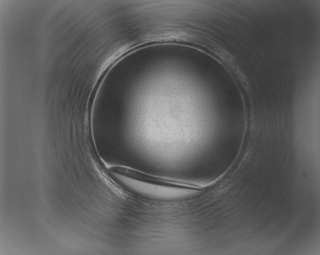 X0000076311234200610201604