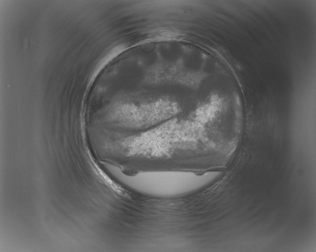 X0000076311235200610201604