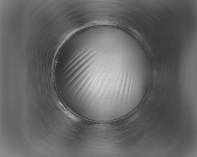 X0000076311236200610201604