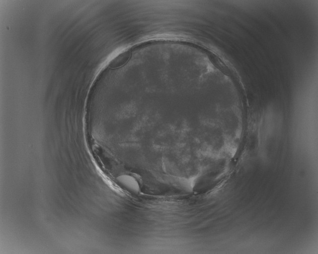 X0000076311237200610201604