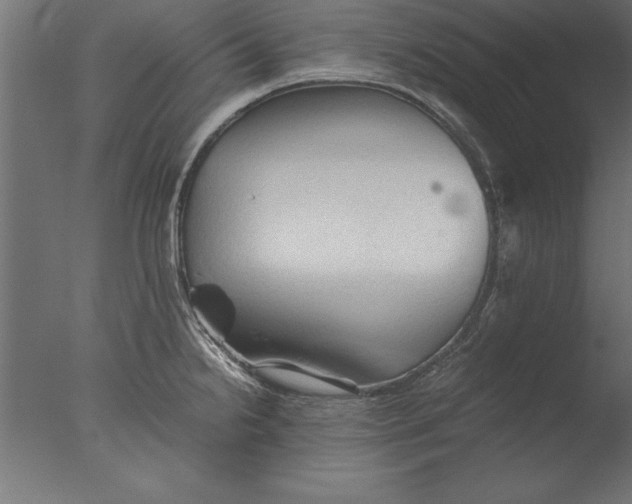 X0000076311238200610201604