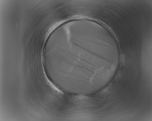 X0000076311239200610201604