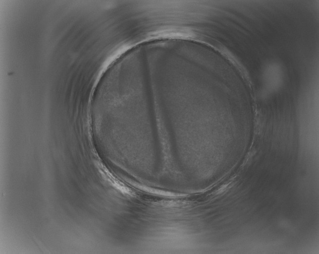 X0000076311240200610201604