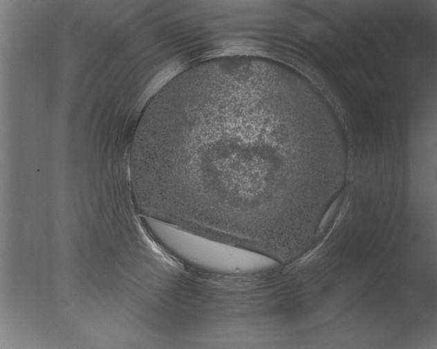 X0000076311241200610201604