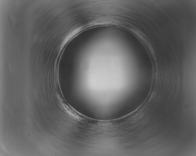 X0000076311242200610201604